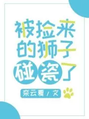 The Picked Lion Touched Porcelain Cover Image