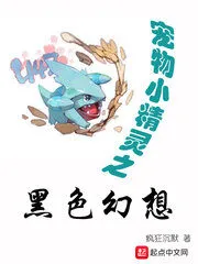 Pokemon Black Fantasy Cover Image