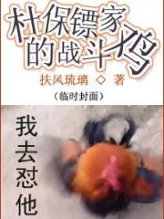 The Fighting Chicken of Du’s Bodyguard Cover Image