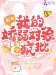 Help! My Delicate Object is a Madman Cover Image