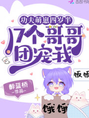 The Kung Fu Baby is Four Years Half and has 17 Pampering Brothers Cover Image