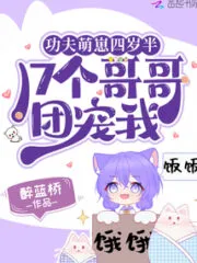 The Kung Fu Baby is Four Years Half and has 17 Pampering Brothers Cover Image