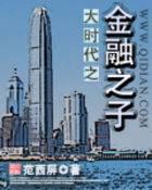 The Son of Finance of the Great Age Cover Image