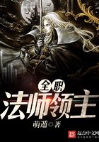 Full Time Mage Lord Cover Image
