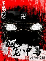 Naruto Caged Bird Cover Image