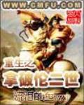 Napoleon II Reborn Cover Image