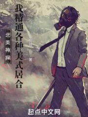 North American Detective: I Am Proficient In All Kinds of American IAI Cover Image