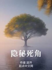 Hidden Corner Cover Image