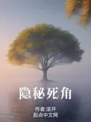 Hidden Corner Cover Image