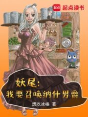 Fairy Tail: I Don’t Want to Be the President Cover Image