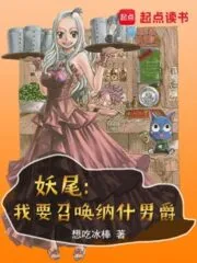 Fairy Tail: I Don’t Want to Be the President Cover Image